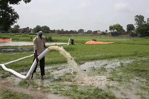 Pure Nylone LDPE / Lapeta Pipe (3 Inch)