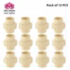 CPVC Union  - (Pack of 12) Premium Quality Jk