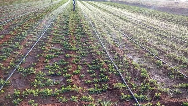 Rain Pipe Set (Pack of 1) 40MM